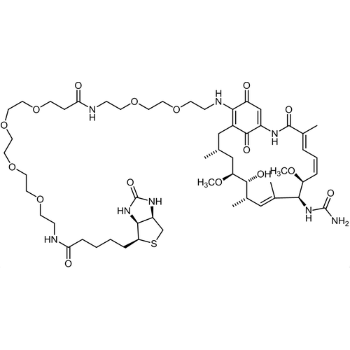 Chemical structure of Geldanamycin- Biotin (SIH-112), a Hsp90 inhibitor. CAS #: 30562-34-6. Molecular Formula: C55H87N7O17S. Molecular Weight: 560.6 g/mol.