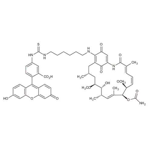 Chemical structure of Geldanamycin- FITC (SIH-113), a Hsp90 inhibitor. Molecular Formula: C55H63N5O13S. Molecular Weight: 560.6 g/mol.