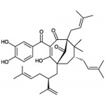 SIH-355_Garcinol_Chemical_Structure.png