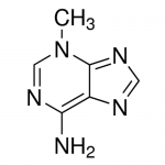 SIH-408_3-Methyladenine_Chemical_Structure.png
