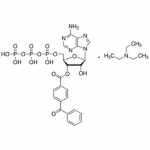 SIH-420_BzATP_Chemical_Structure.png