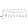 Diagram of the Preparation of Nitrotyrosine Standards for the Nitrotyrosine ELISA Kit StressXpress - SKT-126