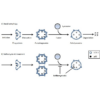 Diagram of the Basal Autophagy and the effect of bafilomycin A1 for the Autophagy Flux Detection Kit StressXpress - SKT-135