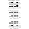 Western Blot of the Example results of LC3-II and p62 marker levels after modulation for the Autophagy Flux Detection Kit StressXpress - SKT-135