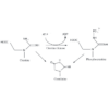 Chemical Equation of the Creatine Conversion to Creatinin for the Urine Creatinine Detection Kit StressXpress - SKT-200