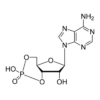 Chemical Structure of Cyclic AMP for the Cyclic AMP CLIA Kit (High-Sensitivity) StressXpress - SKT-208