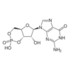 Chemical Structure of Cyclic GMP for the Cyclic GMP EIA Kit StressXpress - SKT-211