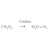 Chemical Equation of the Catalase Reaction for the Catalase Activity Kit StressXpress - SKT-215