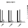 Mouse Anti-GRP78 Antibody [3G12-1G11] used in ELISA (SMC-211)