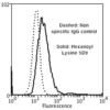 Mouse Anti-Hexanoyl-Lysine adduct Antibody [5D9] used in Flow Cytometry (FCM) on Human Neuroblastoma cells (SH-SY5Y) (SMC-508)