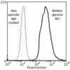 Mouse Anti-Methylglyoxal Antibody [9E7] used in Flow Cytometry (FCM) on Human Neuroblastoma cells (SH-SY5Y) (SMC-516)