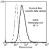 Mouse Anti-Methylglyoxal Antibody [9F11] used in Flow Cytometry (FCM) on Human Neuroblastoma cells (SH-SY5Y) (SMC-517)