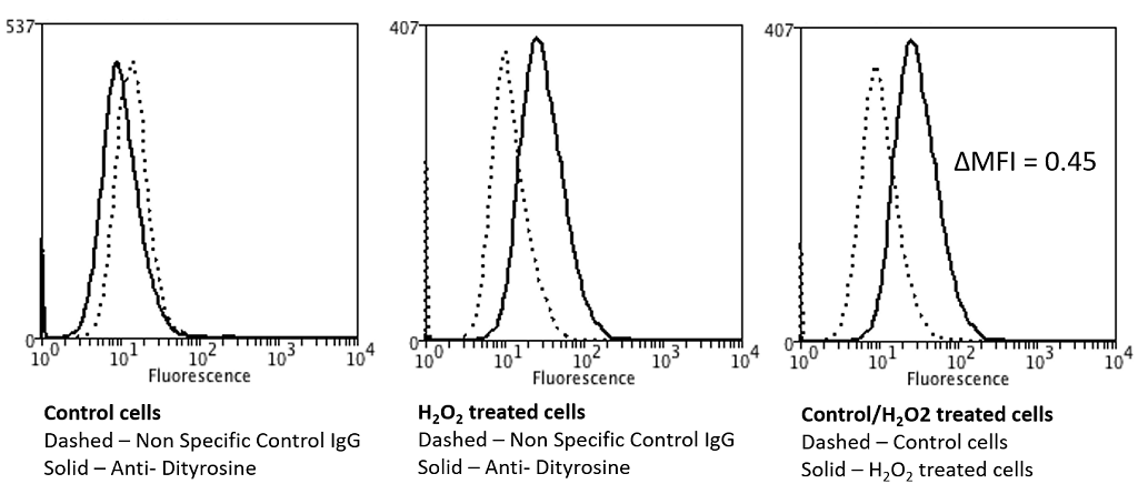 <p>Flow Cytometry analysis using Mouse Anti-Dityrosine Monoclonal Antibody, Clone 10A6 (SMC-521). Tissue: Neuroblastoma cells (SH-SY5Y). Species: Human. Fixation: 90% Methanol. Primary Antibody: Mouse Anti-Dityrosine Monoclonal Antibody (SMC-521) at 1:50 for 30 min on ice. Secondary Antibody: Goat Anti-Mouse: PE at 1:100 for 20 min at RT. Isotype Control: Non Specific IgG. Cells were subject to oxidative stress by treating with 250 µM H2O2 for 24 hours.</p>
