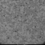 SPR-322-A594_Alpha-Synuclein-Protein-Protein-TEM-1.png