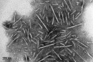 TEM of Type 1 Alpha Synuclein Preformed Fibrils (PFFs) (SPR-322).