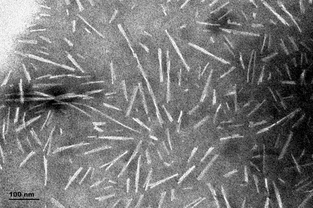 <p>TEM of Type 1 Alpha Synuclein Pre-formed Fibrils (PFFs) (SPR-322)</p>
