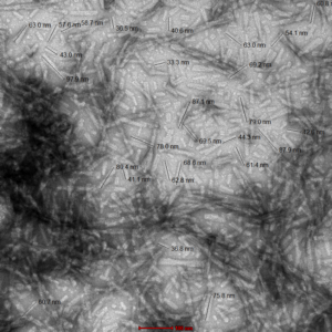 SPR-324_Alpha-Synuclein-Protein-Preformed-Fibrils-TEM