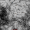 TEM of Type 1 mouse alpha synuclein Pre-formed Fibrils (SPR-324).