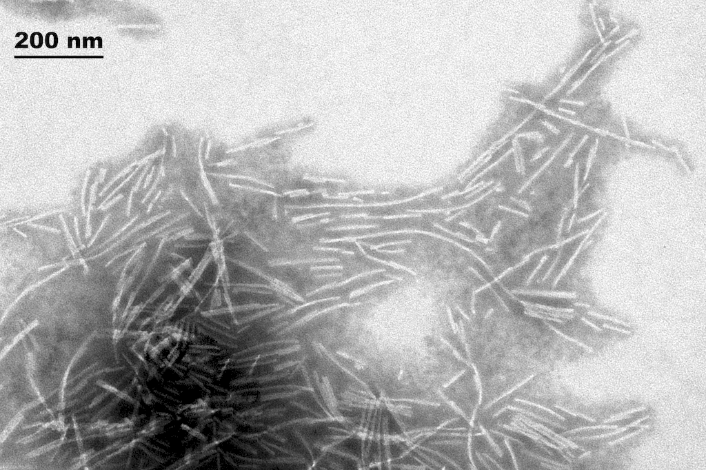 <p>TEM of Active Human Recombinant Alpha Synuclein Protein Filaments (SPR-450)</p>
