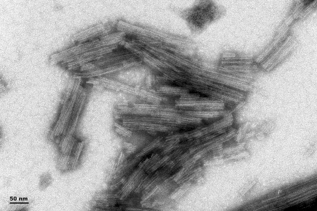 <p>TEM of Active Human Recombinant Truncated Tau Fragment (AA297-391) (dGAE) Protein Pre-formed Fibrils (SPR-461)</p>

