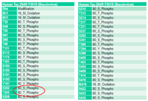 Mass spectrometry analysis of Tau441 (2N4R) P301S mutant pre-formed fibrils (PFFs) (SPR-471) expressed in baculovirus. Mass spectrometry analysis shows phosphorylation at sites including threonine 181, serine 202, and threonine 205.