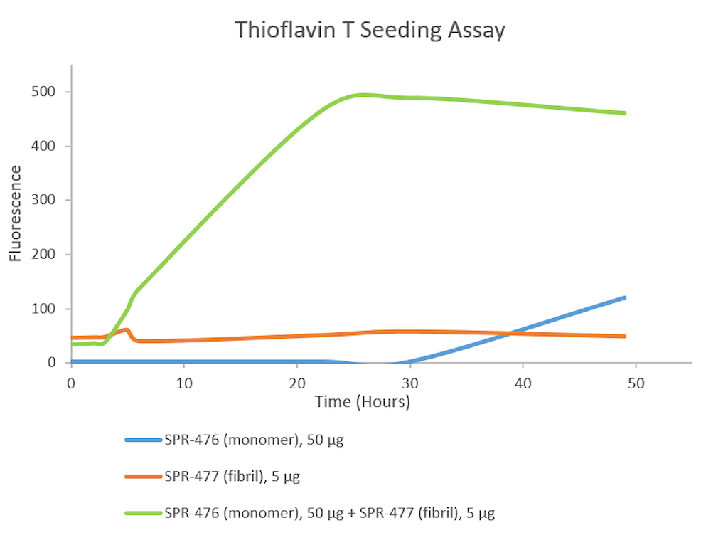 <p>Thioflavin T is a fluorescent dye that binds to beta sheet-rich structures, such as those in tau fibrils. Upon binding, the emission spectrum of the dye experiences a red-shift and increased fluorescence intensity. Thioflavin T emission curves show increased fluorescence (correlated to tau aggregation) over time in tau monomers (SPR-476) in the absence of heparin.</p>
