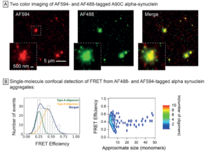 FRET of Alpha Synuclein A90C Monomers (SPR-478)