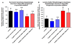 Toxicity of Human Recombinant Alpha Synuclein Oligomers (Kinetically Stable) (SPR-484).