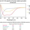 Αlpha Synuclein Oligomers Have Distinct Secondary Structure Differences Compared to Fibrils.