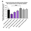 Toxicity of Amyloid Beta Peptide Protein (Monomers, Oligomers, and PFFS) (SPR-485, SPR-488, SPR-487)