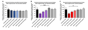 Toxicity of Amyloid Beta Peptide Protein (Monomers, Oligomers, and PFFS) (SPR-485, SPR-488, SPR-487)