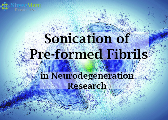 Sonication of Pre-formed Fibrils in Neurodegeneration Research