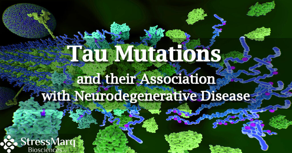 Tau Mutations and their Association with Neurodegenerative Disease
