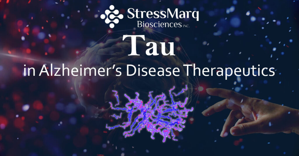 Tau in Alzheimer's Disease Therapeutics