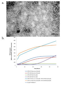 Graph depicting Tau aggregation induced by PFFs