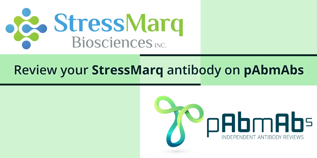 Review your StressMarq antibody on pAbmAbs
